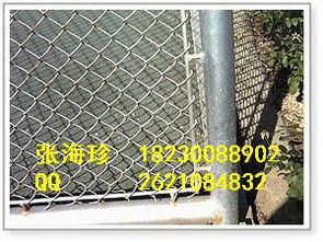 廠家直銷護(hù)欄網(wǎng)防護(hù)網(wǎng)體育護(hù)欄 圍網(wǎng)河北偉吉
