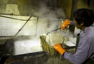 我是食品銷售企業(yè),委托某食品廠生產(chǎn)加工,產(chǎn)品出現(xiàn)質(zhì)量問題應(yīng)該由誰來承擔(dān)責(zé)任