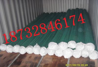 球場護(hù)欄網(wǎng)包塑絲徑4mm 勾花護(hù)欄網(wǎng)河北澤祺